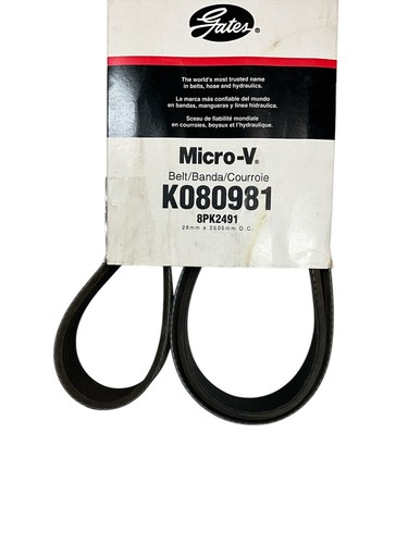 GATES K080981 NEW 8PK2491 MICRO-V AT BELT, 28mm x 2505mm - Picture 2 of 5