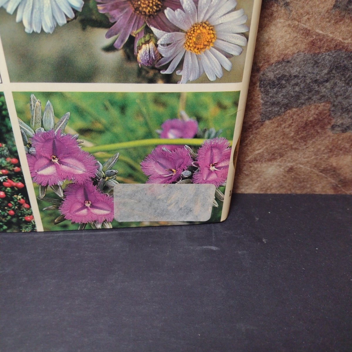 Bild 4 von 15