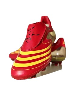 pure boost all terra