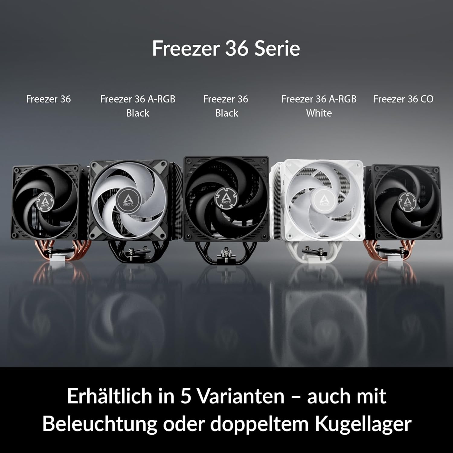 Bild 4 von 10