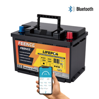 12V 100Ah Lithium Batterie LiFePO4 Akku Bluetooth BMS für Wohnmobil Boot Solar 