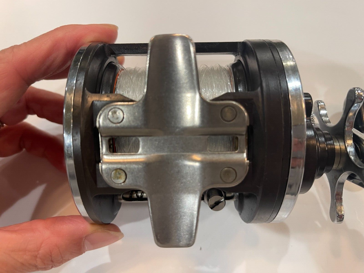 Daiwa Sealine 47H - Level Wind Fishing Reel - Used | eBay