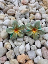 A Pair Of Small Hand Painted Hair Clips - Lite Green Flowers