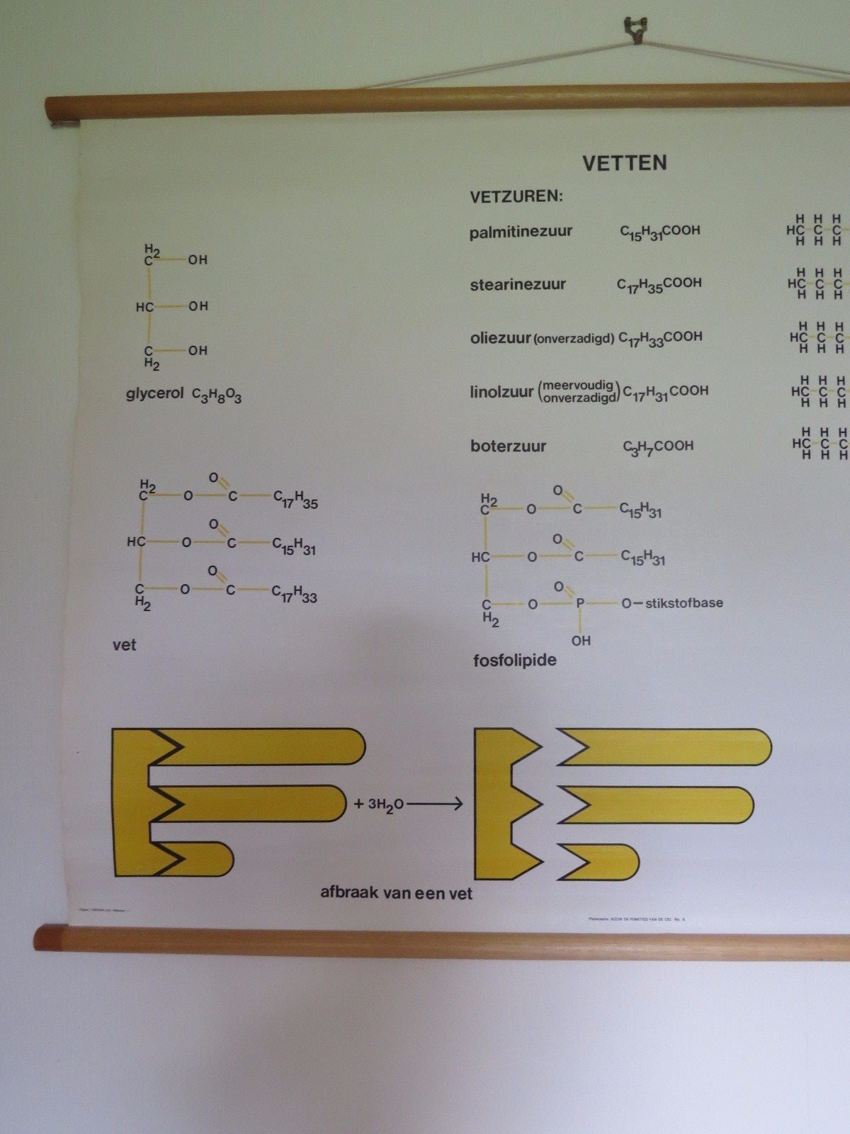 Imagen 2 de 12