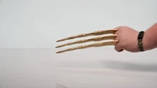 Bone Wolverine Claws - Parallel Claws