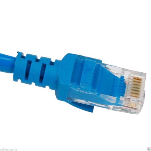 CAT5 Cable Ethernet Lan CAT5e RJ45 Network Patch Cord Internet Router BLUE 3FT - Bild 3 von 3