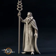 Saligastir Human Wizard Sorcerer Miniature | D&D DnD | RPG
