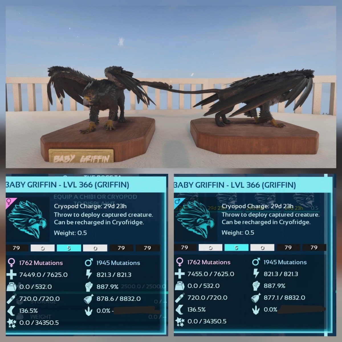 Can you tame a Griffin in Ark: Survival Ascended