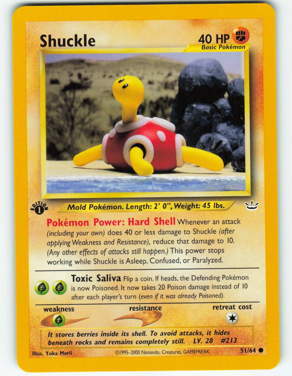 Shuckle - 1st Edition - 51/64 Neo Revelation - Pokémon TCG - 2001