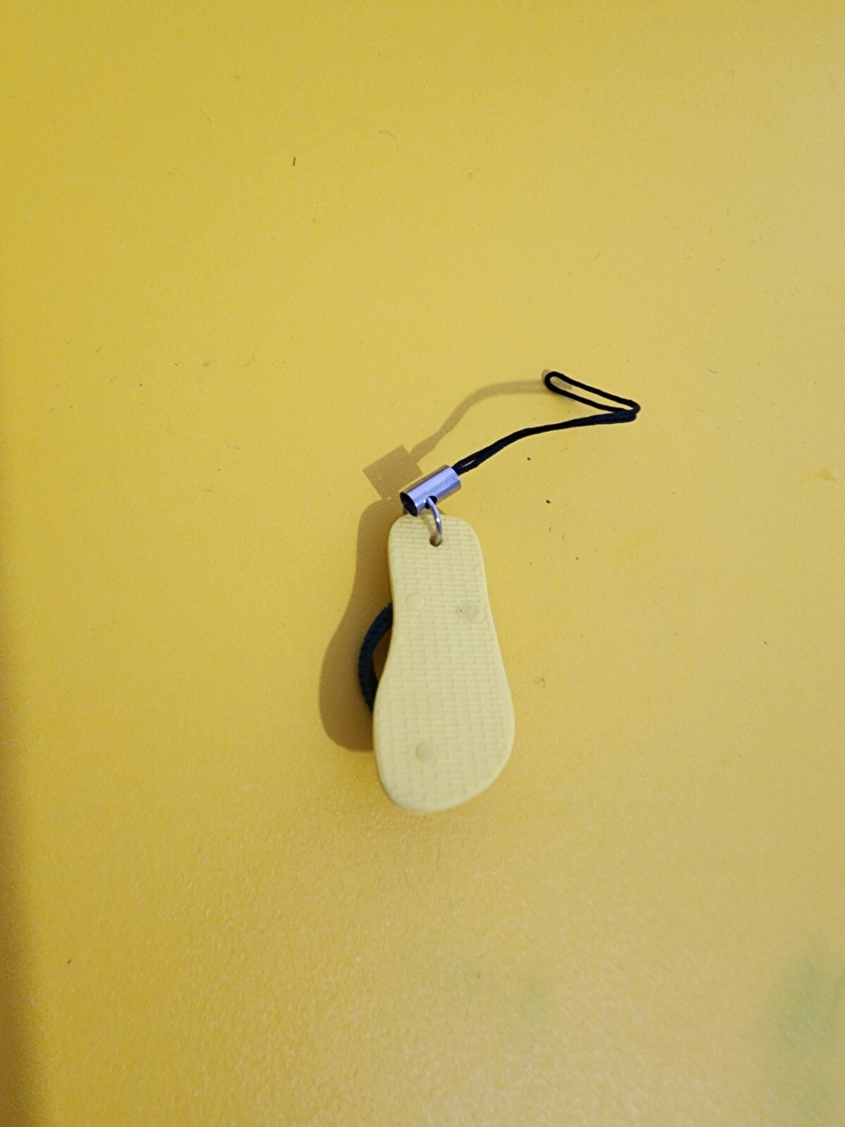 Picture 5 of 5