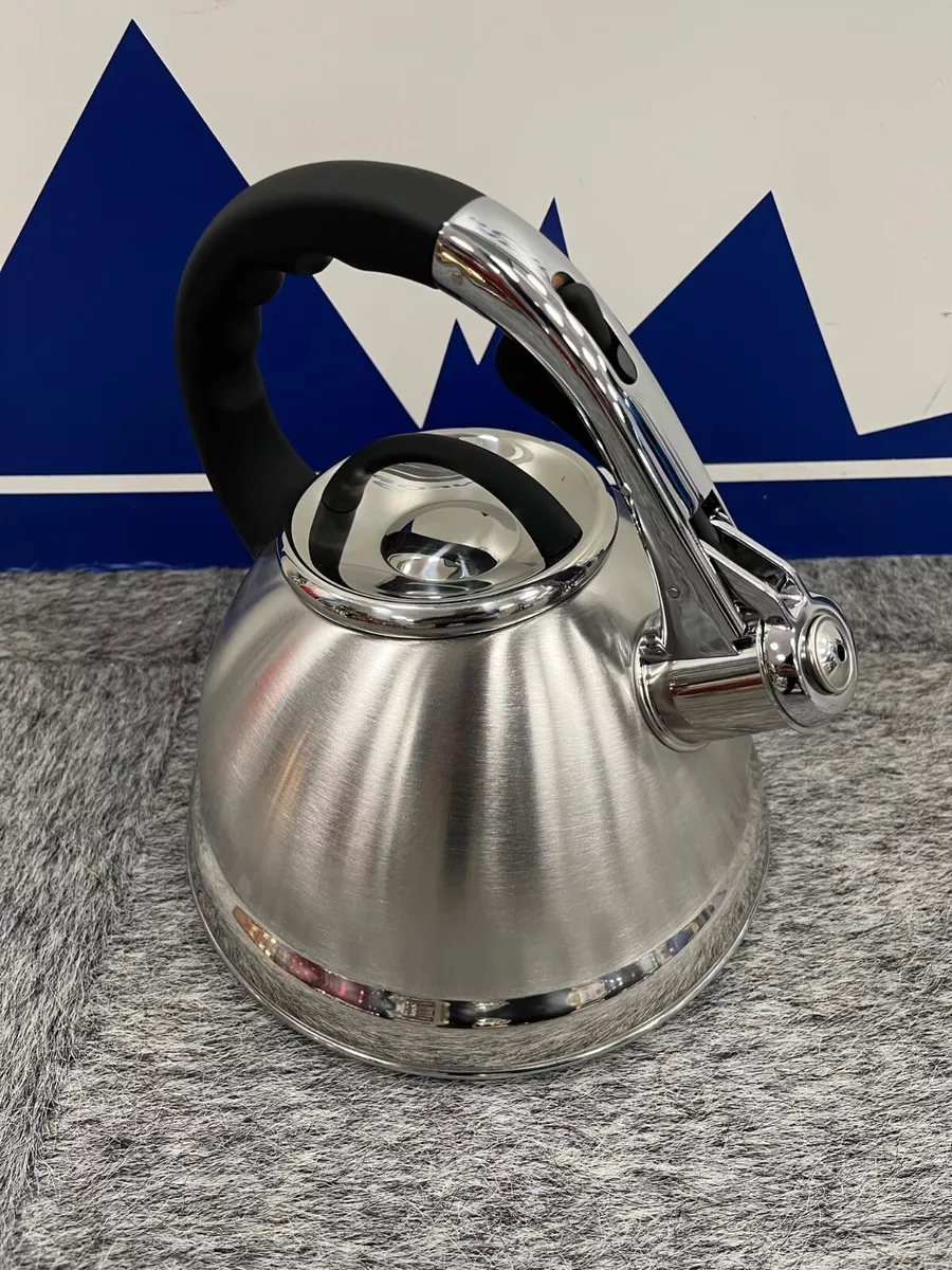 Cheap silver kettle sales