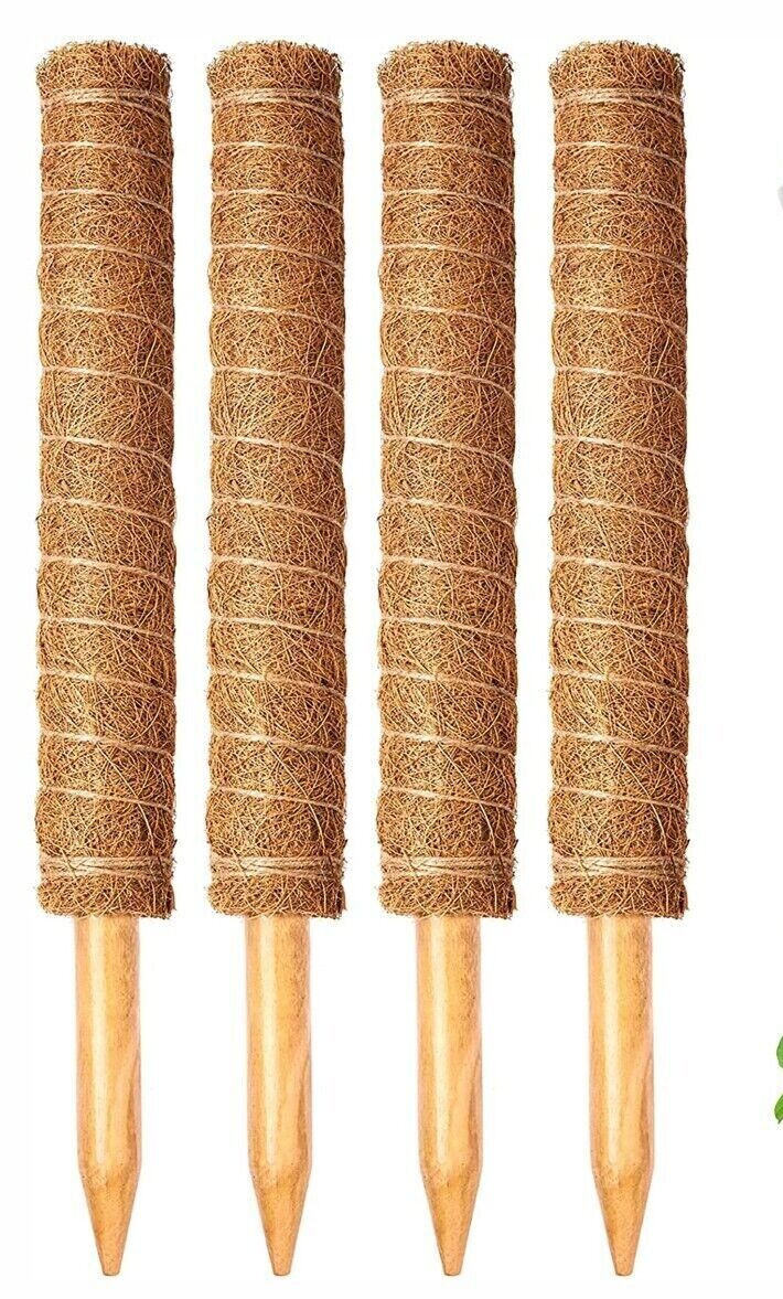 4 tótems de coco poste de musgo para soporte de planta trepadora 27 cm cada entrelazado