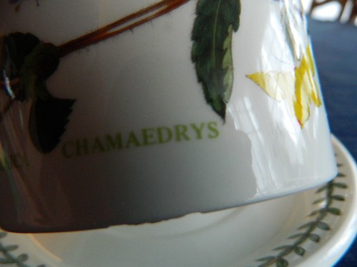 Portmeirion "The Botanic Garden" Teacup & Saucer 1972 England "Speedwell" 10-2 - 第 6/11 張圖片