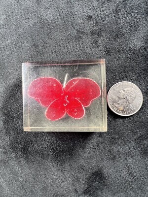 lucite butterfly paperweight | eBay