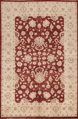 Floral Burgundy Chobi-Peshawar Oriental Vegetable Dye Area Rug Hand-knotted 6x8