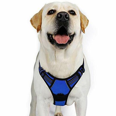 rabbitgoo dog harness fitting