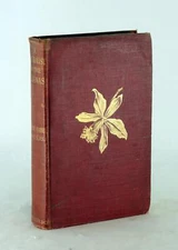 Eugene Andre 1st Ed 1904 A Naturalist in the Guianas Natural History Hardcover