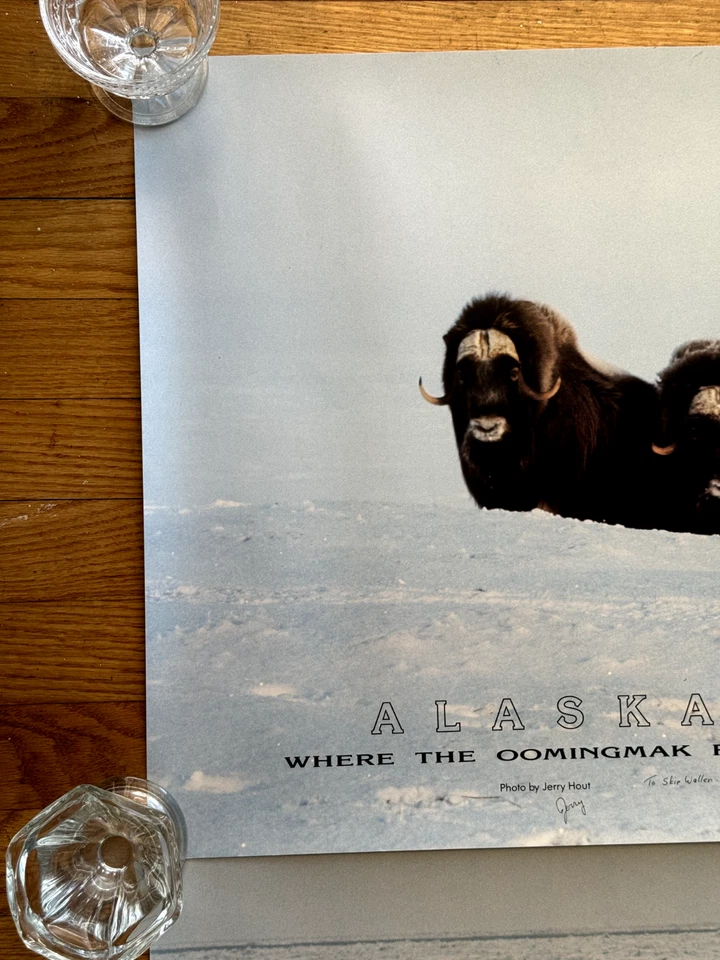 Lot of 2 Vintage Alaska Posters SIGNED Autographed by Jerry Hout, Oomingmak, Ox - Image 4 of 4