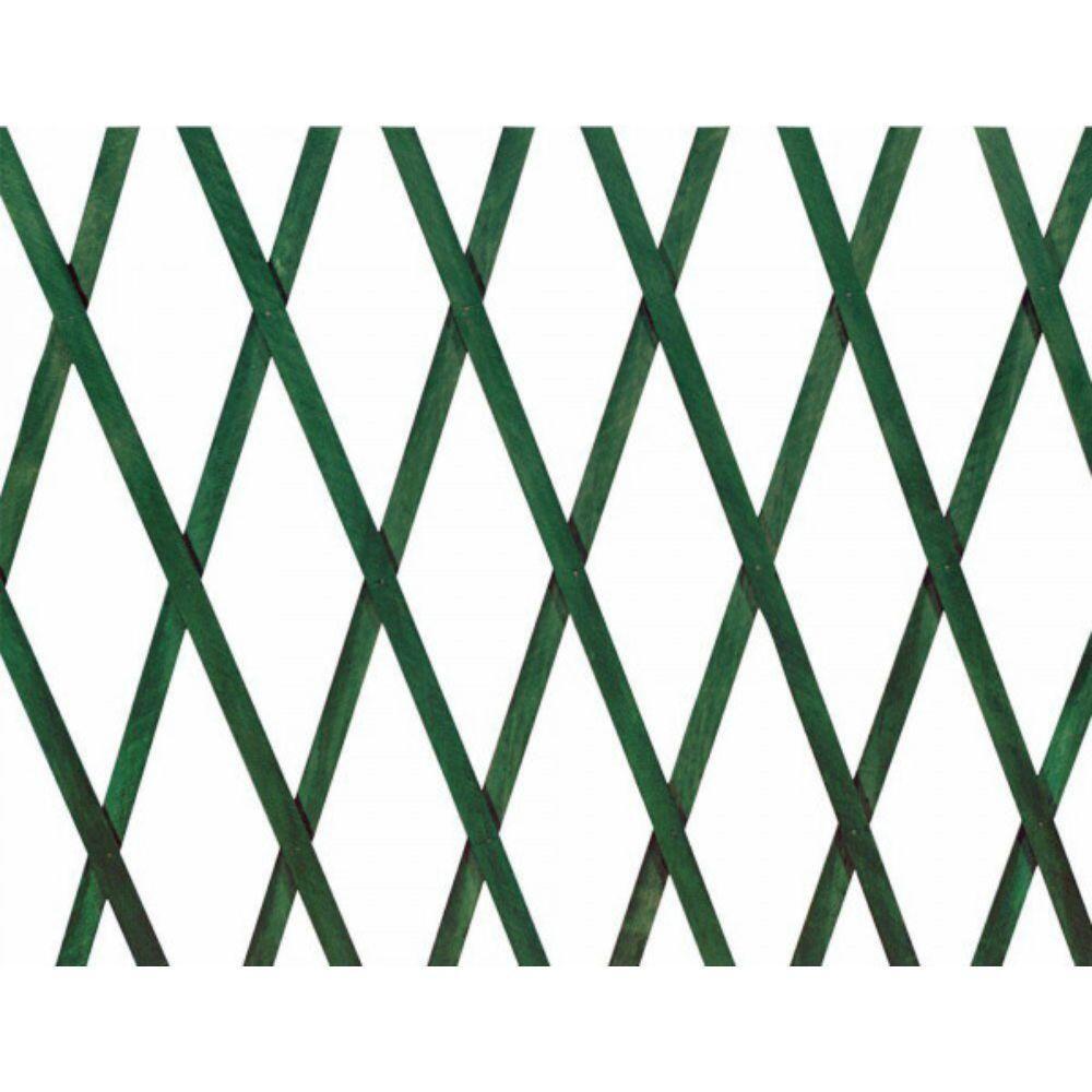 TRALICCIO 200X100 PLASTICA ESTENSIBILE VERDE