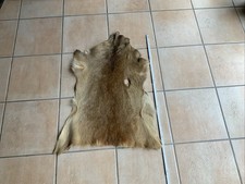 Damwilddecke Tierfell Jäger Damwild Fell  Damwildfell Reh
