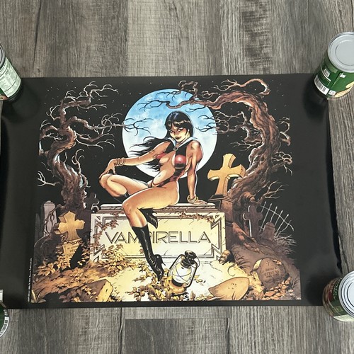 Vampirella Dave Stevens Rolled Poster 16.75" x 23.75" 1994 VINTAGE Harris Comics