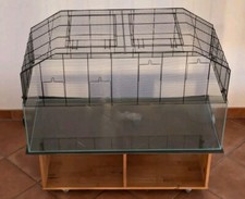 XXL Rennmaus Starter-Set: Terrarium mit Aufsatz & Unterschrank (114x55cm)