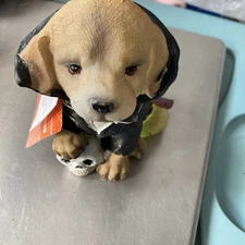 Dracula Vampire Dog Skull Changing Color Light Up Halloween Spooky Village 5.11"