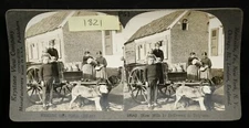 How Milk is delivered in Belgium - Keystone Stereoview #10143