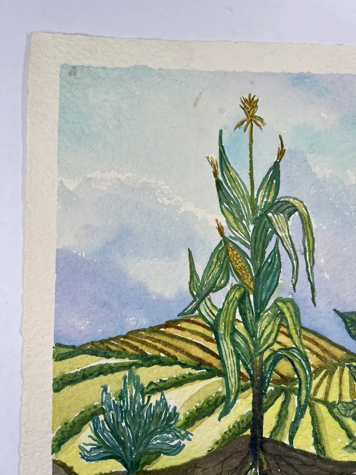 Vicky Tesmer Watercolor Farming Painting Plants Corn Fields Of Prosperity 14x11” - Image 4 of 4