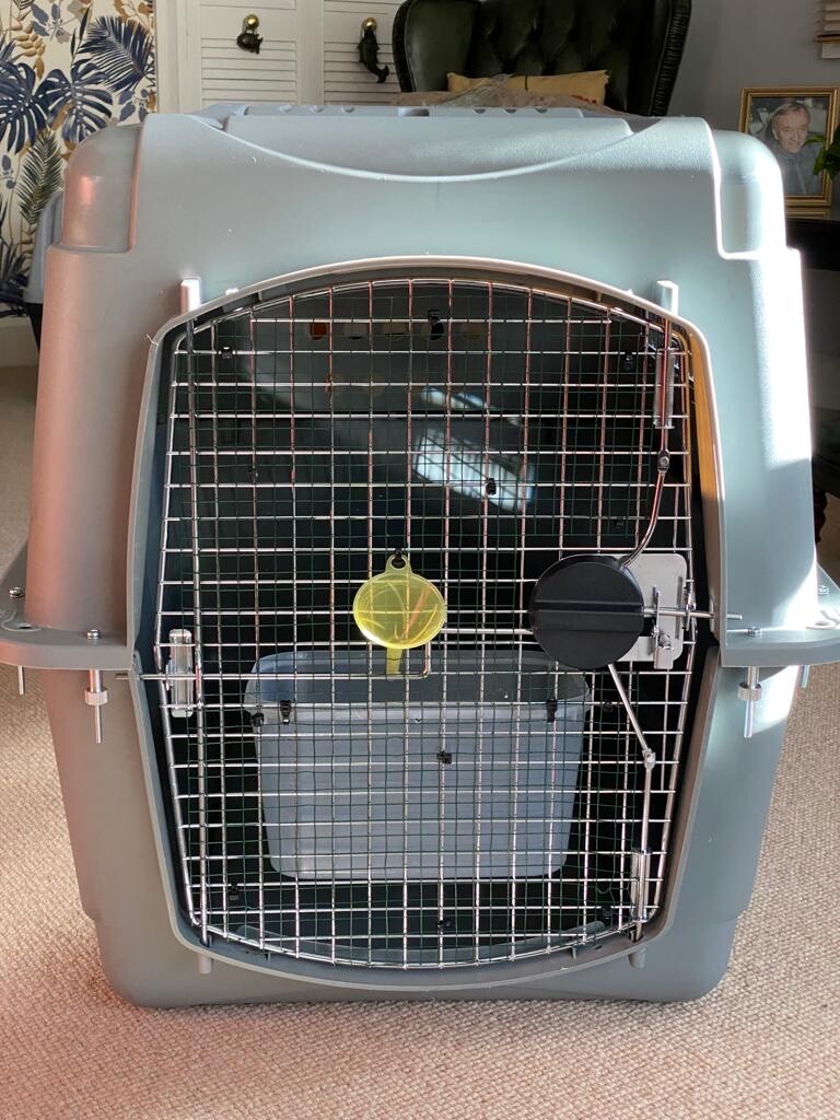 dog Sky Kennel by Petmate. Used only once so in good condition eBay