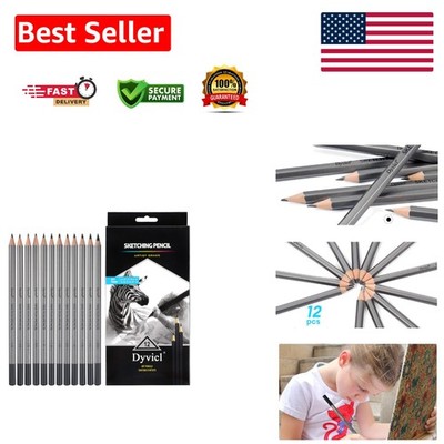 Versatile 12-Graphite Pencil Set - Soft to Hard for Ultimate Art Creation