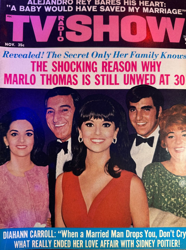 TV Radio Show magazine 11/68 GoldieHawn BarbaraFeldon DeanMartin Barbara Bouchet
