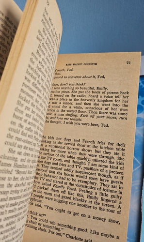Kiss Daddy Goodbye. Thomas Altman. Corgi Horror 1981 - Picture 15 of 15
