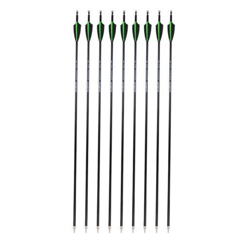 12pcs Carbon 30" Hunting Vane Spine 500 Recurve Bow Compound Bow Arrows - Picture 9 of 13