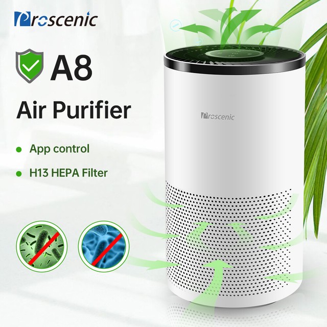 air filter for allergies