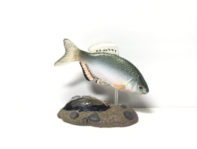 Rare Kaiyodo Natural Monuments of Japan Tokyo bitterling Fish Figurine Figure