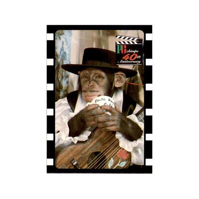 1995 PG Chimps 40th Anniversary Trading Card Spanish Holiday #22