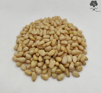 Dried Pine Nut Kernels 25 g (0.9 oz) - 1.95 Kg (68.8 oz) Natural and Very Fresh