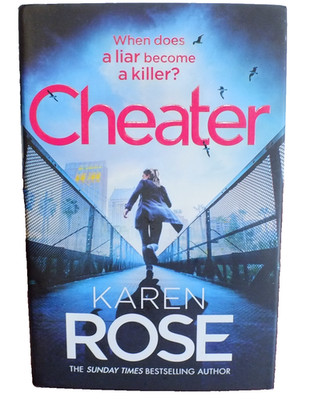 2 Books  Cheater  San Diego Files Buried Too Deep - New Orleans Series by K Rose