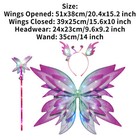 Bild 31 von 67