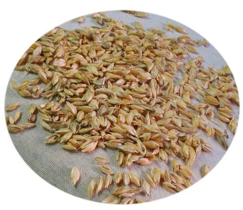 MORBIDOSO Cuscino per Allattamento e Gravidanza 140 cm. con Pula di Farro+Fodera - Foto 5 di 5