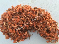 Klip Dagga, Leonotis nepetifolia, All Natural Petals Schmerbals Herbals