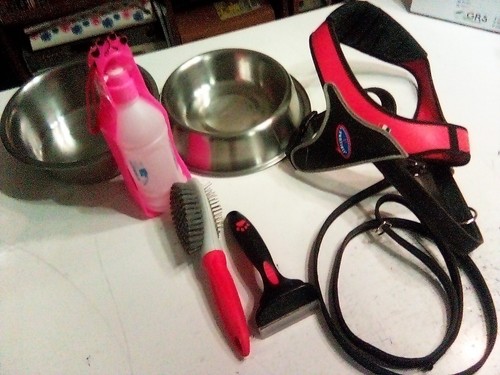 Items for dogs.Lot.Complete set.N.7 pieces.Used.