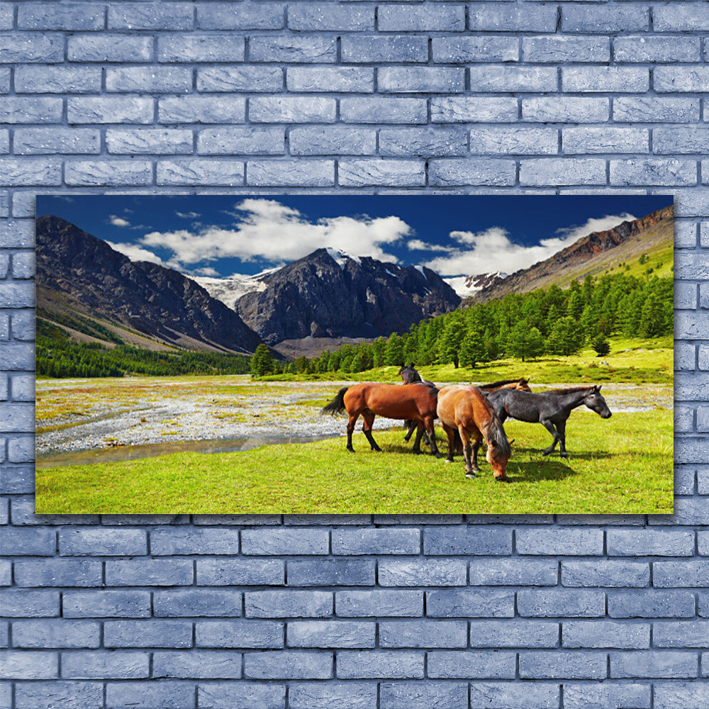 Image sur verre 140x70 cm de cheval moderne pour grand salon contemporain
