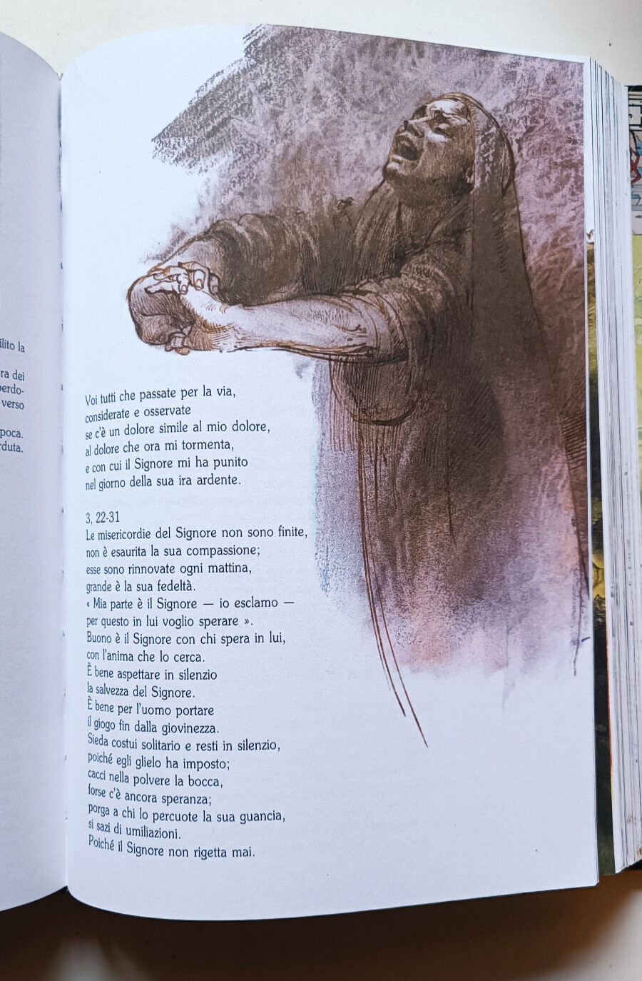 Foto 7 di 8