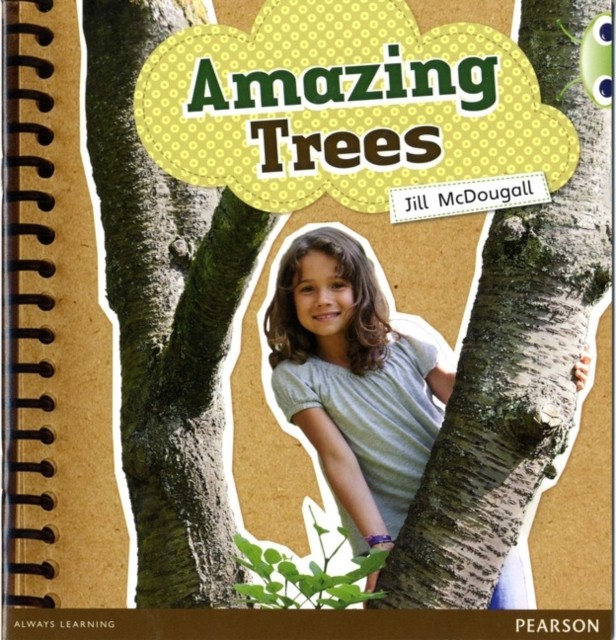 Jill Mcdougall Unisex Multicolor Bug Club Guided Non Fiction Year 1 Green A Amazing Trees Paperback - Image 3