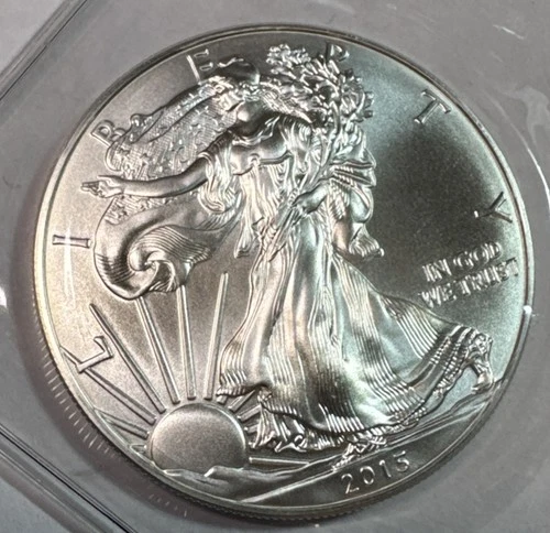 2015 American Silver Eagle US Mint Walking Liberty Coin 1oz Uncirculated