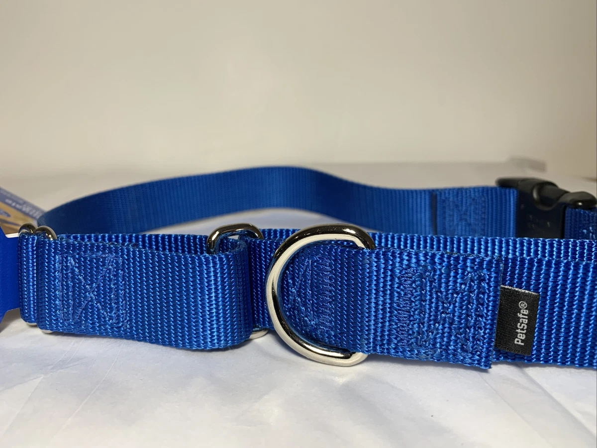 PetSafe Martingale Collar Quick Snap Buckle Blue Large Pet Safety Walk  13-20”NEW | eBay
