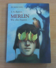 Merlin: Wie alles begann von T.A. Barron (Taschenbuch) GUTER ZUSTAND