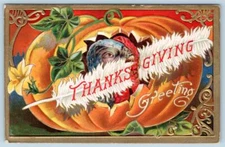 1908 THANKSGIVING GREETINGS TURKEY IN PUMPKIN EMBOSSED ANTIQUE POSTCARD